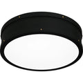 QUOIZEL, QUOIZEL FIXTURE, FLUSH MOUNT CEILING LIGHTS