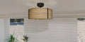 QUOIZEL, QUOIZEL FANDELIER, SEMI FLUSH MOUNT LIGHT
