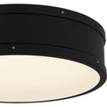 QUOIZEL, QUOIZEL FLUSH MOUNT, FLUSH MOUNT CEILING LIGHTS