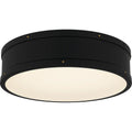QUOIZEL, QUOIZEL FLUSH MOUNT, FLUSH MOUNT CEILING LIGHTS