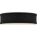 QUOIZEL, QUOIZEL FLUSH MOUNT, FLUSH MOUNT CEILING LIGHTS