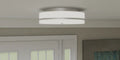 QUOIZEL, QUOIZEL FLUSH MOUNT, FLUSH MOUNT CEILING LIGHTS