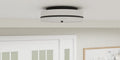 QUOIZEL, QUOIZEL FLUSH MOUNT, FLUSH MOUNT CEILING LIGHTS