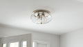 QUOIZEL, QUOIZEL FLUSH MOUNT, FLUSH MOUNT CEILING LIGHTS