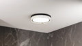 QUOIZEL, QUOIZEL FLUSH MOUNT, FLUSH MOUNT CEILING LIGHTS