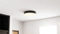QUOIZEL, QUOIZEL FLUSH MOUNT, FLUSH MOUNT CEILING LIGHTS