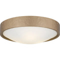 QUOIZEL, QUOIZEL FLUSH MOUNT, FLUSH MOUNT CEILING LIGHTS
