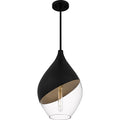 QUOIZEL, QUOIZEL PORTABLE LAMPS - MULTIPACK, PENDANT LIGHT