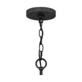 QUOIZEL, LARIAT PENDANT, PENDANT LIGHT