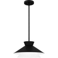 QUOIZEL, QUOIZEL PENDANT, PENDANT LIGHT