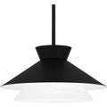 QUOIZEL, QUOIZEL PENDANT, PENDANT LIGHT