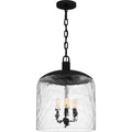 QUOIZEL, QUOIZEL PENDANT, PENDANT LIGHT