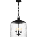QUOIZEL, QUOIZEL PENDANT, PENDANT LIGHT