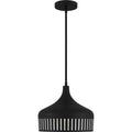 QUOIZEL, QUOIZEL PENDANT, PENDANT LIGHT