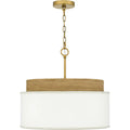 QUOIZEL, QUOIZEL PENDANT, PENDANT LIGHT