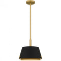 QUOIZEL, QUOIZEL PICCOLO PENDANT, PENDANT LIGHT