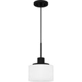 QUOIZEL, QUOIZEL PICCOLO PENDANT, PENDANT LIGHT