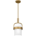QUOIZEL, QUOIZEL PICCOLO PENDANT, PENDANT LIGHT