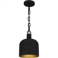 QUOIZEL, QUOIZEL PICCOLO PENDANT, PENDANT LIGHT