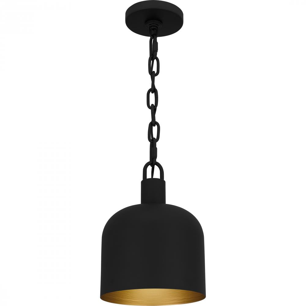 QUOIZEL, QUOIZEL PICCOLO PENDANT, PENDANT LIGHT