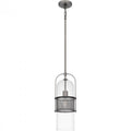 QUOIZEL, QUOIZEL PICCOLO PENDANT, PENDANT LIGHT