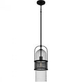QUOIZEL, QUOIZEL PICCOLO PENDANT, PENDANT LIGHT