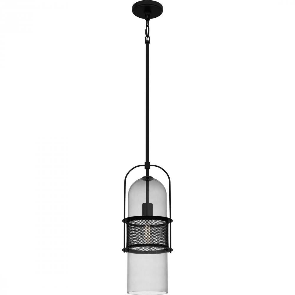 QUOIZEL, QUOIZEL PICCOLO PENDANT, PENDANT LIGHT
