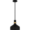 QUOIZEL, QUOIZEL PICCOLO PENDANT, PENDANT LIGHT