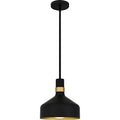 QUOIZEL, QUOIZEL PICCOLO PENDANT, PENDANT LIGHT