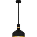 QUOIZEL, QUOIZEL PICCOLO PENDANT, PENDANT LIGHT
