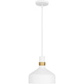 QUOIZEL, QUOIZEL PICCOLO PENDANT, PENDANT LIGHT
