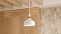 QUOIZEL, QUOIZEL PICCOLO PENDANT, PENDANT LIGHT