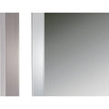 QUOIZEL MARCOS MIRROR - Mirrors