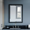 QUOIZEL QUOIZEL REFLECTIONS - Mirrors
