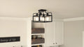QUOIZEL, PAULSEN SEMI-FLUSH MOUNT, SEMI FLUSH MOUNT LIGHT