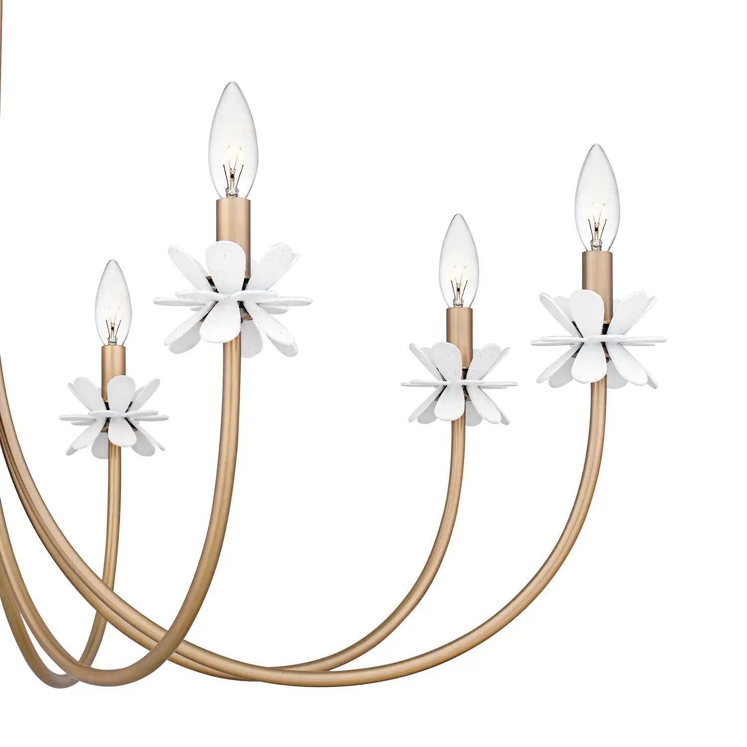 QUOIZEL, REMY CHANDELIER, CHANDELIER LIGHT