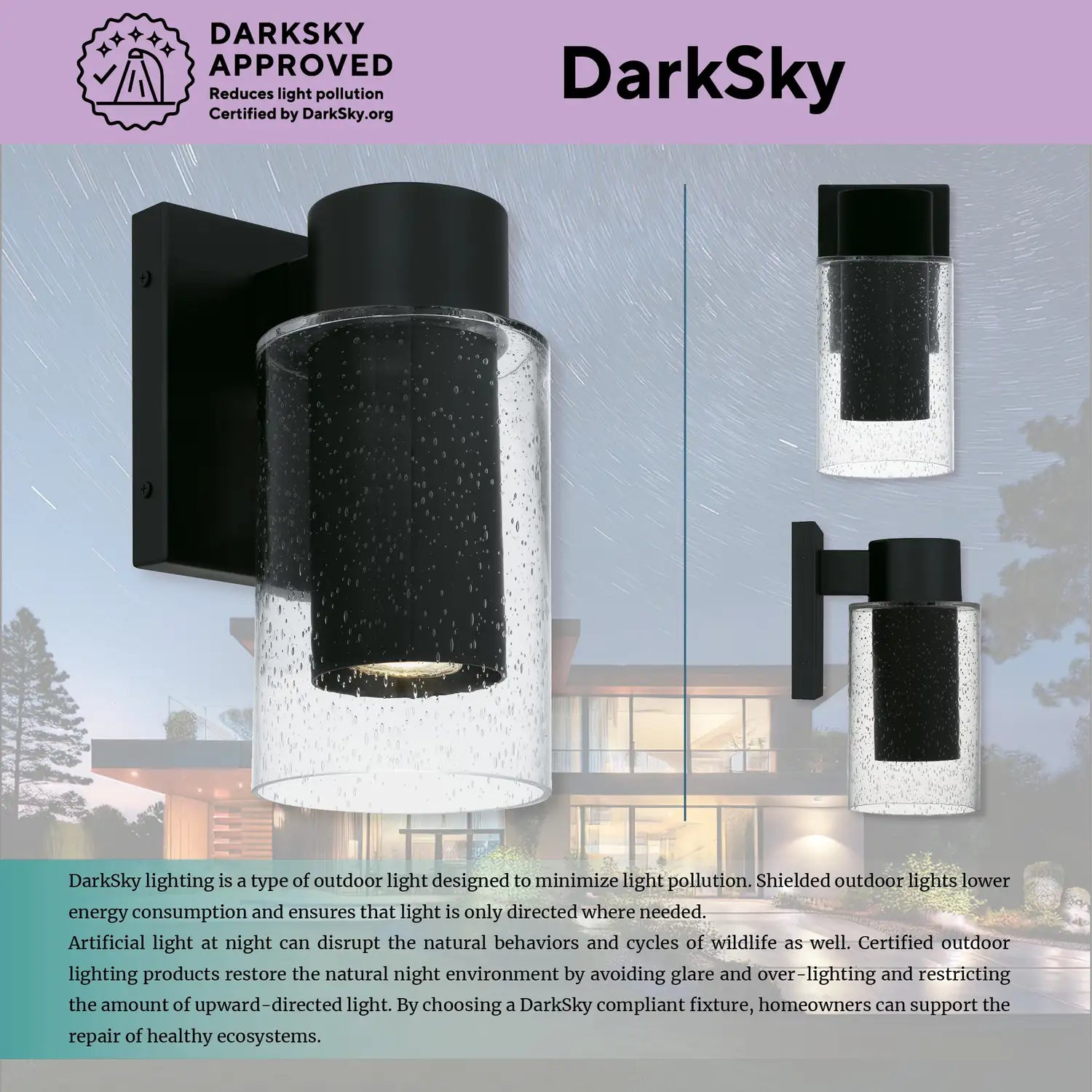 QUOIZEL, SAWYER OUTDOOR LANTERN, OUTDOOR WALL LIGHTS