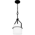QUOIZEL, SEYMOUR PENDANT, PENDANT LIGHT