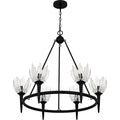 QUOIZEL, SHEA CHANDELIER, CHANDELIER LIGHT