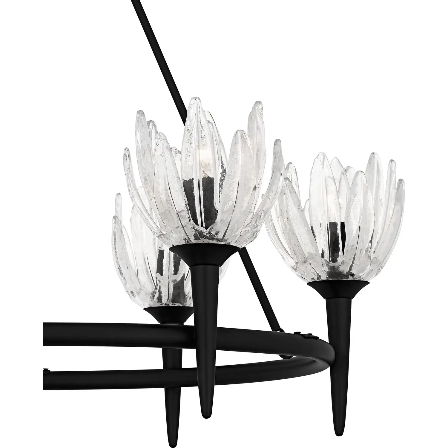 QUOIZEL, SHEA CHANDELIER, CHANDELIER LIGHT