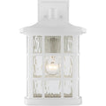 QUOIZEL, STONINGTON OUTDOOR LANTERN, OUTDOOR CEILING LIGHTS