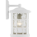 QUOIZEL, STONINGTON OUTDOOR LANTERN, OUTDOOR CEILING LIGHTS