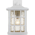 QUOIZEL, STONINGTON OUTDOOR LANTERN, OUTDOOR CEILING LIGHTS