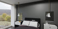 QUOIZEL, STETSON PENDANT, PENDANT LIGHT