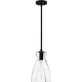 QUOIZEL, STETSON PENDANT, PENDANT LIGHT