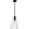 QUOIZEL, STETSON PENDANT, PENDANT LIGHT