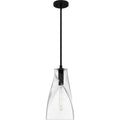 QUOIZEL, STETSON PENDANT, PENDANT LIGHT