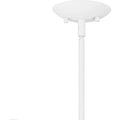 QUOIZEL, TALLULAH PENDANT, PENDANT LIGHT