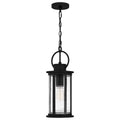 QUOIZEL, TILMORE PENDANT, PENDANT LIGHT