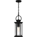QUOIZEL, TILMORE OUTDOOR LANTERN, OUTDOOR CEILING LIGHTS
